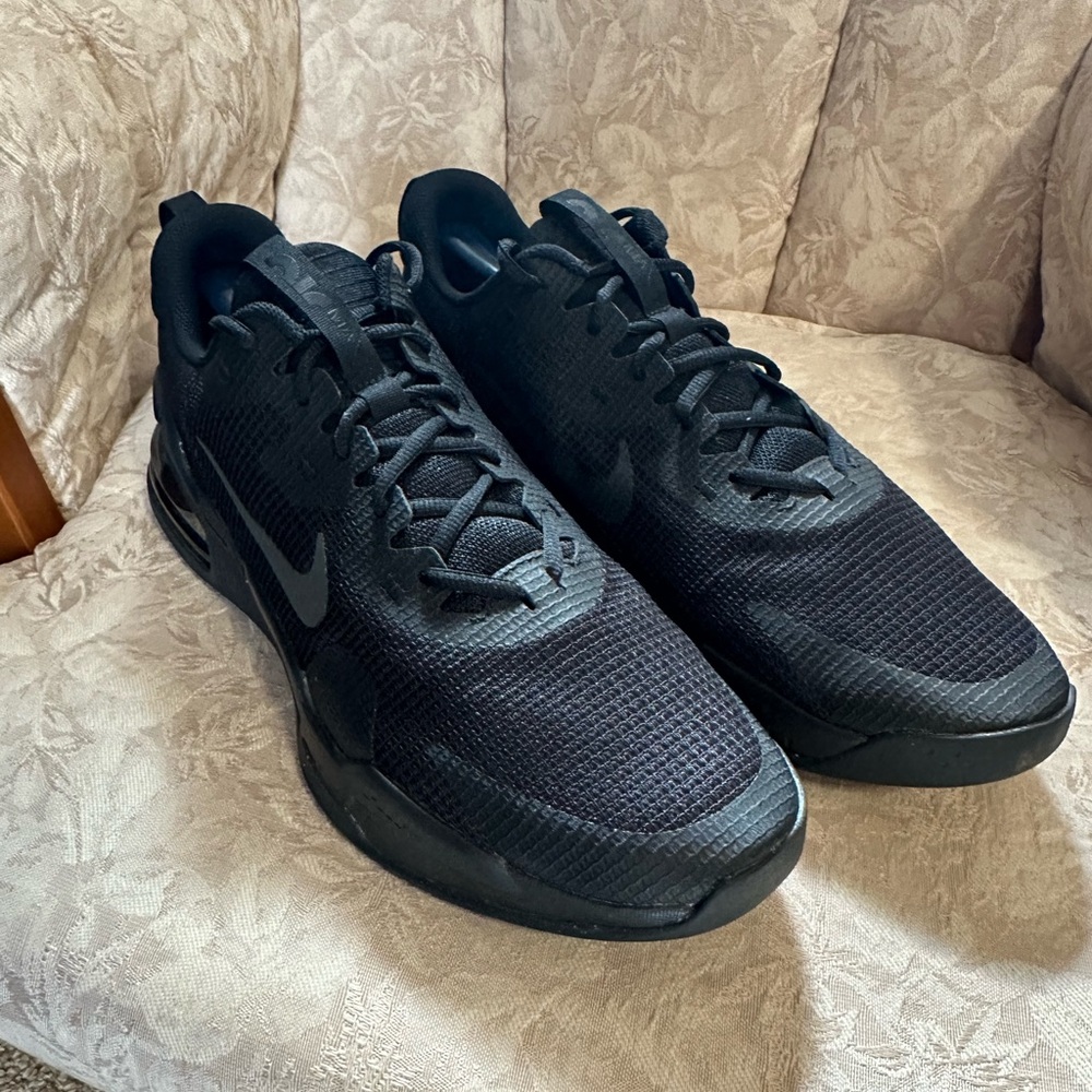 Nike Air Max Running Shoe
Size 12.5